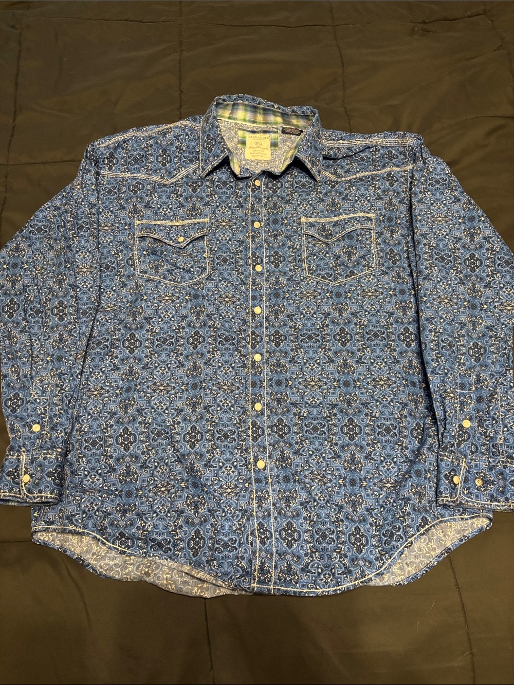 Men's Blue Printed Western Button-Down Shirt